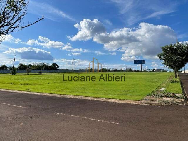 #19 - Área para Venda em Foz do Iguaçu - PR - 3