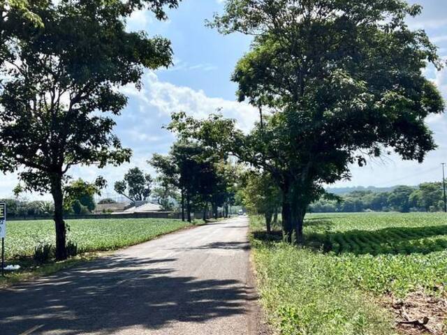 Chácara para Venda em Foz do Iguaçu - 4