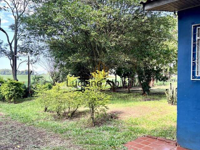 #40 - Chácara para Venda em Foz do Iguaçu - PR - 2
