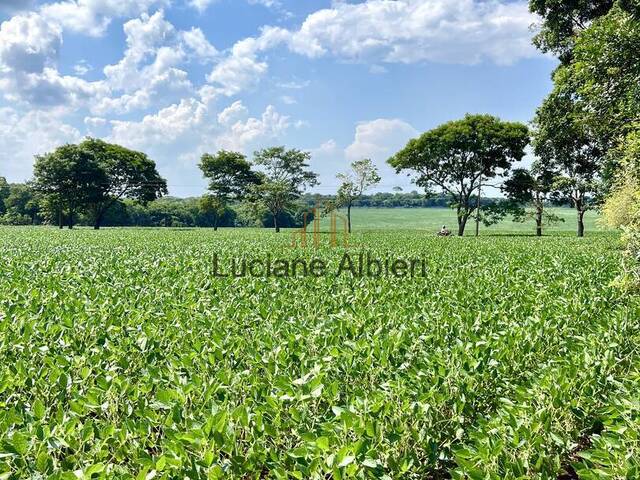 #40 - Chácara para Venda em Foz do Iguaçu - PR - 3