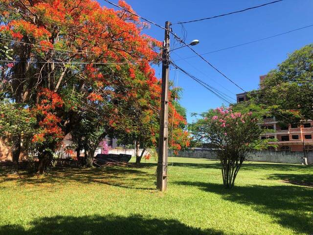 #61 - Área para Venda em Foz do Iguaçu - PR - 2
